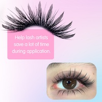Precio de fábrica, nuevas extensiones de pestañas anime hechas a mano, marca privada, negras, suaves, pre-hechas, 12 filas, base afilada, ligeras