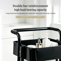 Chariot de Salon Métallique à Roulettes Professionnel, Chariot de Beauté Roulant Moderne, Chariot de Rangement pour Coiffure à Domicile et en Salon