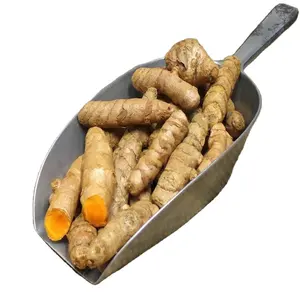 Turmeric Finger Quality Grade Best Rate Dried Turmeric Finger Low Price Organic Yellow Turmeric Finger from India