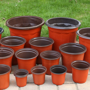 Hộp Trồng Cây Bằng Nhựa Hai Màu Khay Trồng Cây Chống Rơi Chậu Trồng Cây Hoa Vườn Ươm Cho Gia Đình - Product Image 2