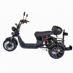 Tricycle à pneus larges en alliage d'aluminium 2000W, 2 places, pour adultes, scooter à 3 roues, homologué EEC COC, moto de rue, double suspension, HT9, étanche - Product Image 2