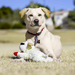Jouet en peluche pour chien Lambchop de style simple conçu en usine personnalisable avec couineur pour animaux de compagnie - Product Image 2
