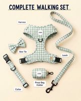 Ensemble de harnais pour chien anti-traction personnalisé, collier rembourré doux, laisse et harnais de qualité supérieure pour chien, distributeur de sacs à déjections canines, accessoires pour animaux de compagnie