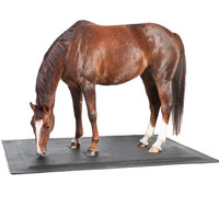 Matelas de lit pour chevaux en caoutchouc et matelas de box pour chevaux avec tapis doux pour box à chevaux offrant un confort supplémentaire