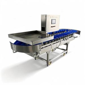 Máquina Automática de Clasificación y Calibración de Patas, Alas y Pollos Enteros para Granjas, para el Procesamiento de Frutas, Verduras y Nueces - Product Image 2