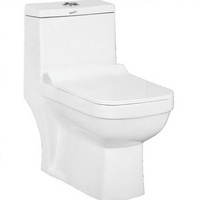 WC monobloc à chasse siphonique, cuvette allongée, à poser au sol, réservoir encastré en céramique, double chasse certifiée, design moderne, pour usage extérieur