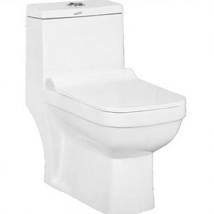 WC monobloc à chasse siphonique, cuvette allongée, à poser au sol, réservoir encastré en céramique, double chasse certifiée, design moderne, pour usage extérieur - Product Image 1
