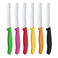 Ensemble de couteaux de cuisine en acier inoxydable vibrant de qualité supérieure 6 pièces avec poignée en plastique PP outils de coupe de pain et de tomate dentelés durables