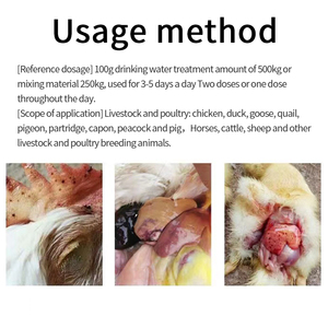 Produits de santé animale axés sur les probiotiques Fonction protectrice du foie et des reins Bovins Bovins Vache Mouton Chèvre et Cheval Additifs alimentaires - Product Image 5