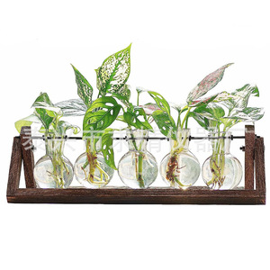 Seeking Excellence Hydroponic Glass <b>Vase</b> Set With Wooden <b>Stand</b> For Desktop Plant Decoration - Product Image 3