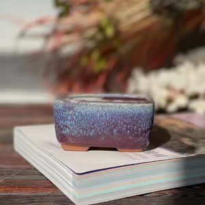 Pots succulents ronds en céramique peints en bleu de style de vente chaude avec plateau - Product Image 2