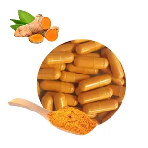 Nahrungs ergänzungs mittel Curcumin-Extrakt-Pulver 95% Nano-Kurkuma-Curcumin-Kapseln