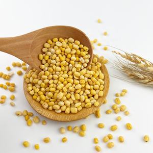 थोक Hulled Skinless Moong विभाजन खुली हरी मूंग - Product Image 6