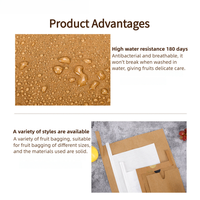 Sac en papier kraft pour fruits, écologique, imperméable, pour la protection des mangues et des raisins, pour la maison, le jardin, les petits vergers, prêt à être expédié
