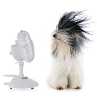 Ventilateur de bureau et à pince 2-en-1 OEM ODM, Nouvelle Arrivée, Ventilateur de table et de bureau à pince pour intérieur, Ventilateur de refroidissement d'air de bureau, Contrôle mécanique en plastique