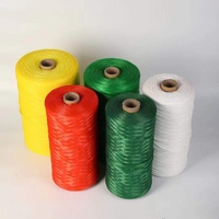 Sacs en filet plastique colorés pour emballage