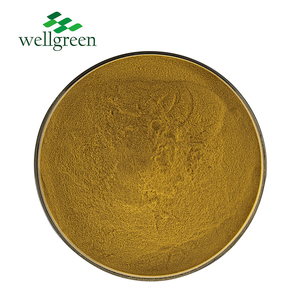 Wellgreen Pure Natural <span class=keywords><strong>Astragalus</strong></span> raiz extrato 70% polissacarídeo - Product Image 2