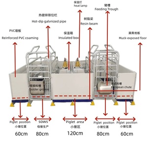 Bán buôn lợn trang trại thiết bị lợn farrowing Crate lợn nái Crate mang thai gian hàng - Product Image 3