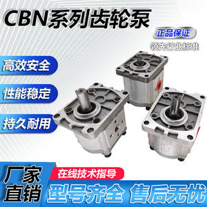 Petite pompe hydraulique à engrenages haute pression, ensemble de surpresseur électrique CBN-F310/314/316/20/25, pompe à huile, catégorie hydraulique - Product Image 4