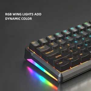 Горячая 60% игровая механическая клавиатура с 66-клавишным проводным Шильдиком RGB подсветка для компьютеров