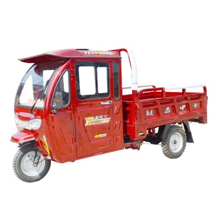 TH215 2019 Chine Tricycle utilitaire à cabine fermée, moteur essence, pour le transport de marchandises, à vendre - Product Image 6