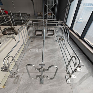Cage <span class=keywords><strong>de</strong></span> maternité polyvalente <span class=keywords><strong>de</strong></span> haute qualité pour porcelets, <span class=keywords><strong>lit</strong></span> d'accouchement pour porcelets, système d'alimentation automatique pour équipement agricole - Product Image 6