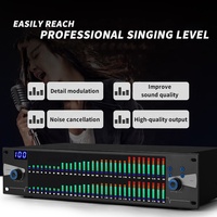 Nouveau Processeur DSP d'Effet Audio Graphique Égaliseur Numérique Professionnel Double 31 Bandes pour Karaoke Maison Scène - Système DJ 2U