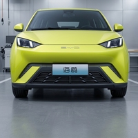Grille inférieure de pare-chocs avant avec filet anti-insectes pour BYD Seagull 2023, paire de grilles inférieures avant avec filet anti-insectes