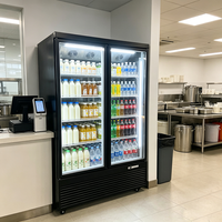 Réfrigérateur à boissons à température unique, refroidisseur de boissons à porte coulissante, équipement de refroidissement instantané des boissons pour usage commercial