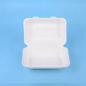 Eco-Vriendelijke Producten Biologisch Afbreekbaar Wegwerp Servies Bagasse Voedselcontainer Flip Lunchbox