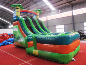 Dongyuan Park Play لعبة ملاهي تجارية منزلقات جافة داخلية قلعة قابلة للنفخ للأطفال - Product Image 3