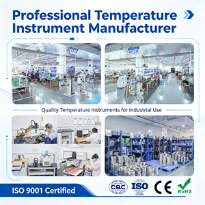 Sonda de Sensor de Temperatura RTD de Acero Inoxidable IP65 con Montaje Roscado, Duradera, OEM Personalizada para Sistemas HVAC, Buen Precio al por Mayor - Product Image 4