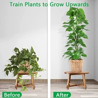 Poteau de mousse en plastique de couleur claire en matériau PP de 15 pouces pour les plantes
