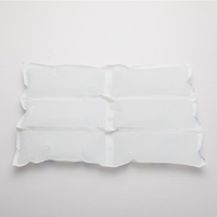 Pack de glace sèche Super absorbante, nouvelle vente 2023, pour la livraison de nourriture