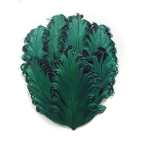 Plumes naturelles DIY pour chapeaux, accessoires de coiffure, pinces à cheveux, bandeaux, fascinators, fleurs et décorations de mariage