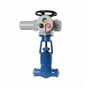 Porte de centrale électrique (Z961Y) - Acier forgé haute résistance |   DELCO - Product Image 3
