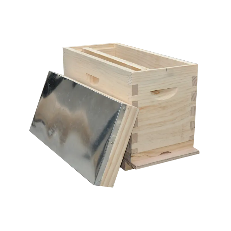 Hot Sale Holz bienenstock 4 und 5 Rahmen Bienenhaus Nuc Box Bienenstock für Königin Aufzucht