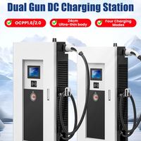 Protection IP65 Ultra Mince Pstented 30KW Sortie Plug and Play Double Guns Recommander Fast Car EV DC Charger