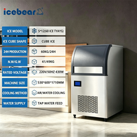 Vente Flash : Machine à Glace Commerciale Version Française, Production 60kg/24h
