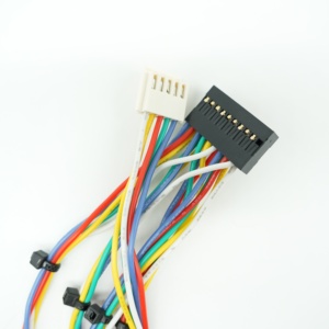 Kabel Harness Konektor DuPont 2.54mm Kustom Berkualitas Tinggi 2*10 Kabel Harness - Product Image 2