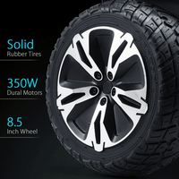 Populaire Off Road Gyroor Led Lumière Bleu Dent Haut-Parleur À Distance Hoverboard