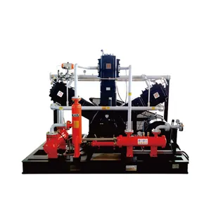 Compresseur de gaz naturel haute pression sans huile, compresseur de biogaz antidéflagrant pour Station de remplissage de cylindre de véhicule