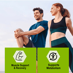 Private Label Plant Based <b>Protein</b> Powder Helps Support Endurance Recovery Muscle Support Recovery Powder - Product Image 3