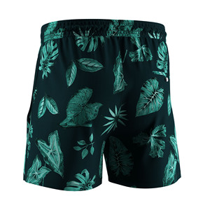 Shorts de plage décontractés pour hommes, légers, anti-frottement, longueur mi-cuisse, pour la pêche et le surf - Product Image 3