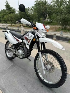 Motocicleta de Gasolina XTZ125 Little Rabbit, Original, de Lujo, Confiable y Eficiente, Venta al Por Mayor - Product Image 1