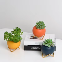 Kit pot sukulen buatan Mini warna-warni dengan dudukan logam bulat mewah dan pot bunga keramik untuk dekorasi rumah
