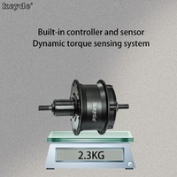Moteur léger 36V 250W 350W 500W Moteur de roue arrière Type DC Moteur de moyeu de vélo électrique Moteur arrière de vélo électrique