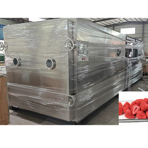 Máquina de Liofilización Industrial de Gran Capacidad, Liofilizador al Vacío para Procesamiento de Alimentos, Acero Inoxidable SUS304, 380V - Product Image 5