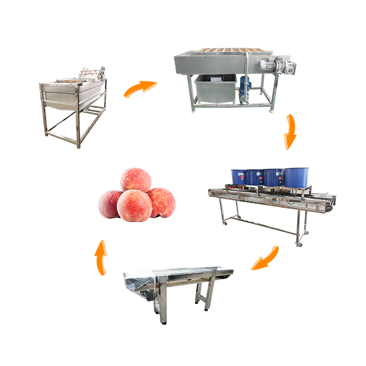 Industrial Custom Fresh Fruit Juice Mango