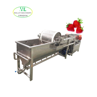 China Groenteverwerkingsfabriek Fruitbellenwasmachine met motor en pomp Multifunctioneel